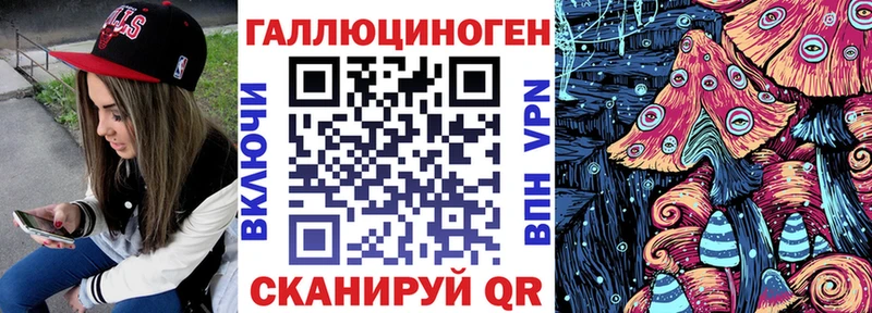 Галлюциногенные грибы Psilocybine cubensis  Мончегорск 