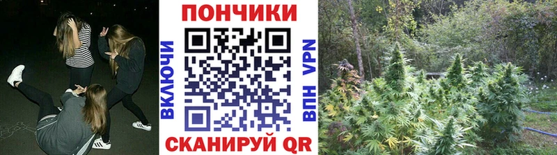 ссылка на мегу рабочий сайт где купить наркоту Мончегорск МАРИХУАНА OG Kush